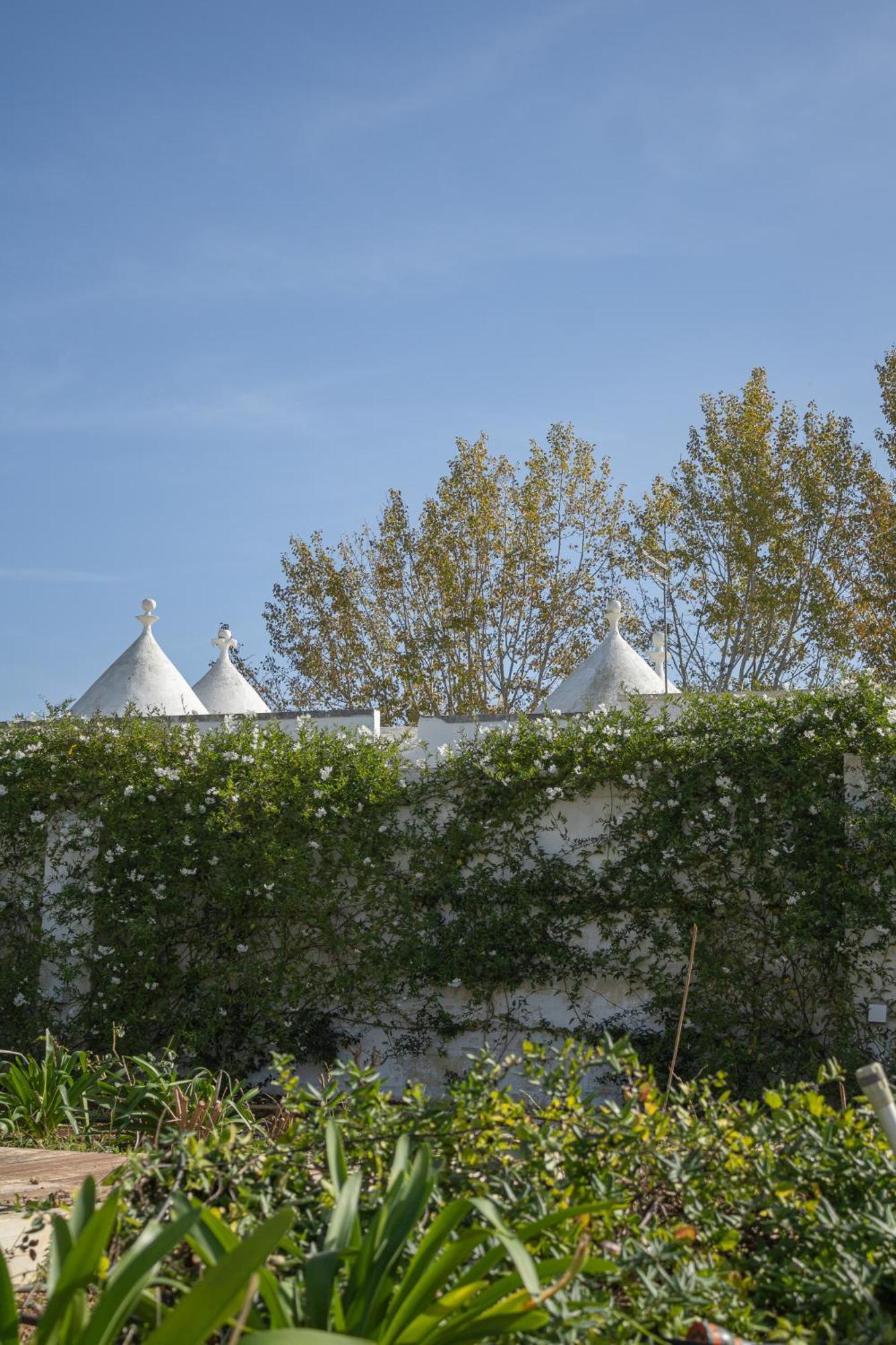 Villa Ada-Trulli Puglia Martina Franca Bagian luar foto